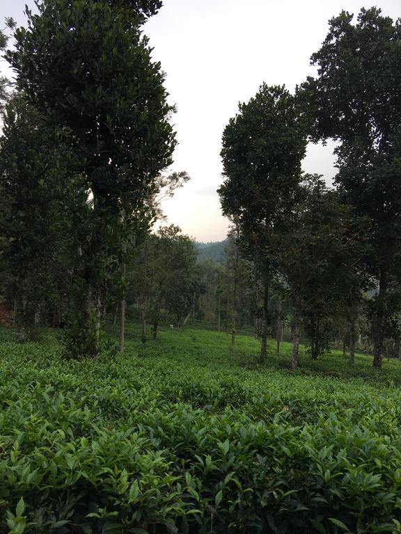 Вилла Harmony Farm Wayanad Салтэн-Батери Экстерьер фото