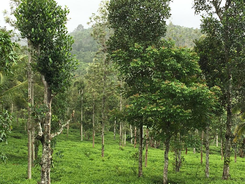 Вилла Harmony Farm Wayanad Салтэн-Батери Экстерьер фото