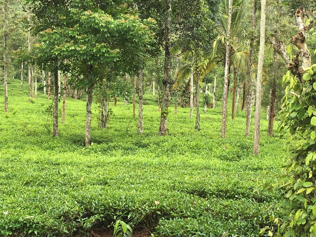 Вилла Harmony Farm Wayanad Салтэн-Батери Экстерьер фото