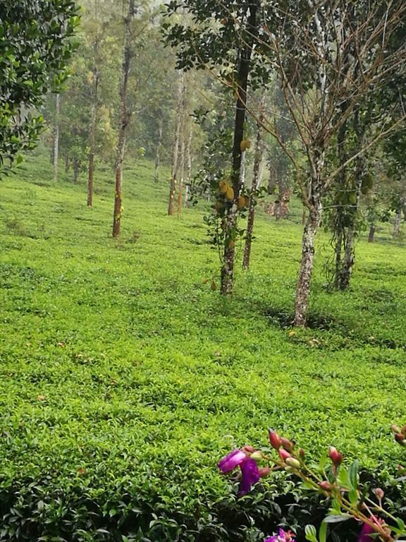 Вилла Harmony Farm Wayanad Салтэн-Батери Экстерьер фото
